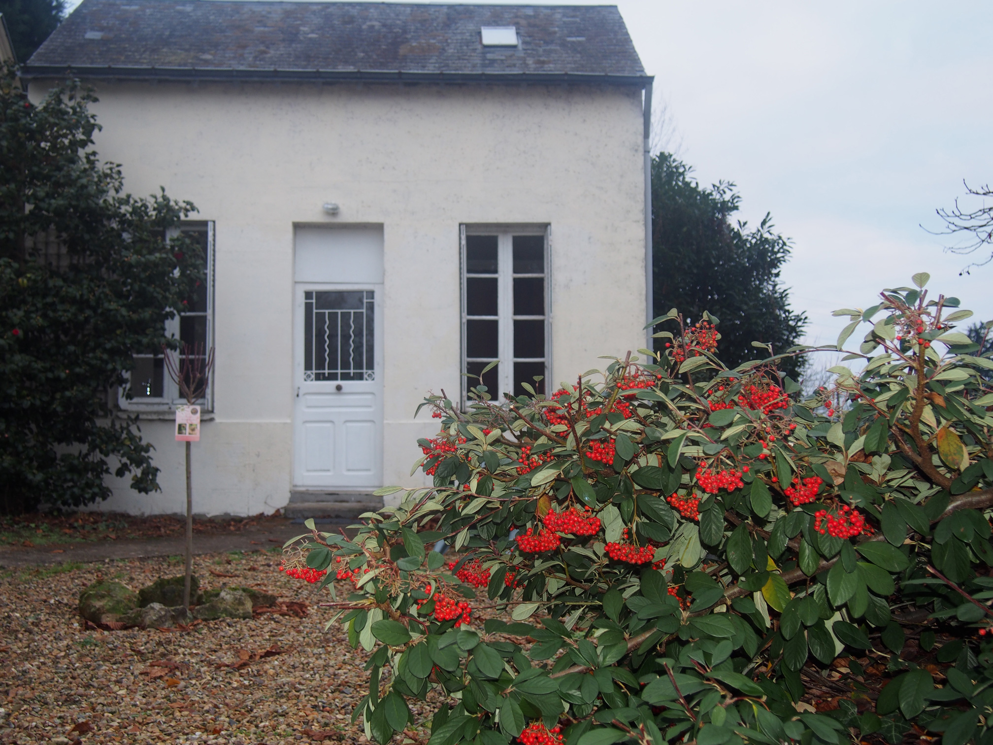Chambres d'hôtes - Ile du Saule